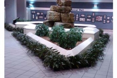 interior-lobby-plants